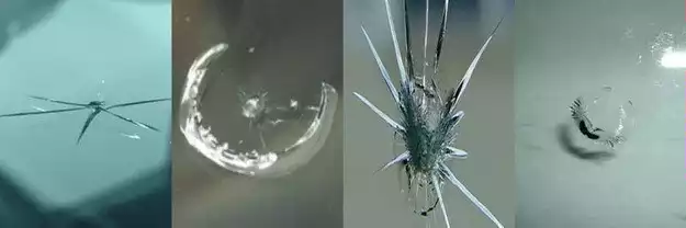 Виды сколов на лобовом стекле автомобиля