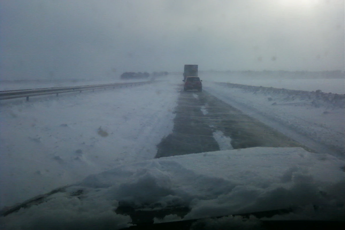 Зимовий туман на трасі Київ-Одеса
